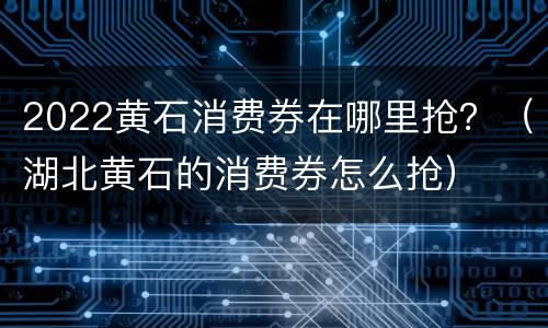 2022黄石消费券在哪里抢？（湖北黄石的消费券怎么抢）