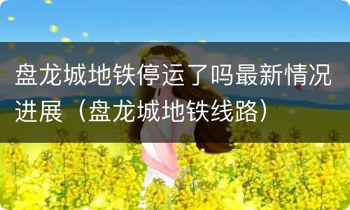 盘龙城地铁停运了吗最新情况进展（盘龙城地铁线路）