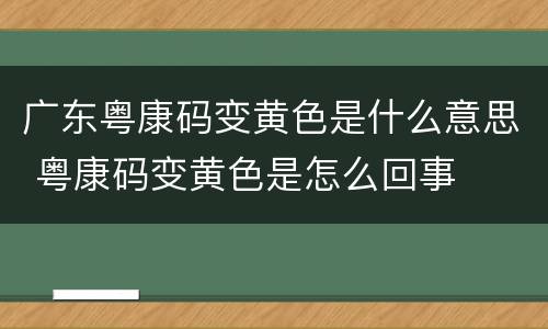 广东粤康码变黄色是什么意思 粤康码变黄色是怎么回事