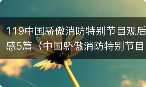 119中国骄傲消防特别节目观后感5篇（中国骄傲消防特别节目2019）