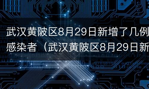 武汉黄陂区8月29日新增了几例感染者（武汉黄陂区8月29日新增了几例感染者呢）