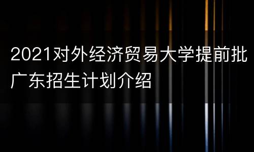 2021对外经济贸易大学提前批广东招生计划介绍