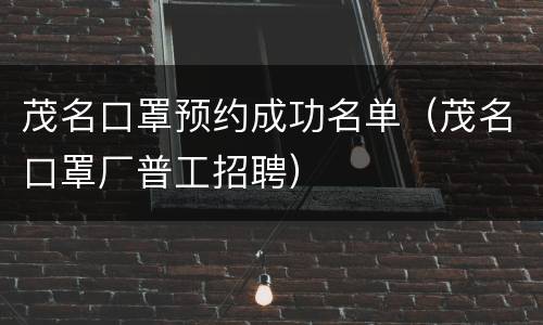 茂名口罩预约成功名单（茂名口罩厂普工招聘）