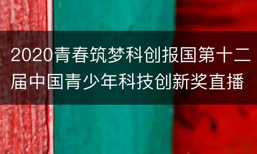 2020青春筑梦科创报国第十二届中国青少年科技创新奖直播入口