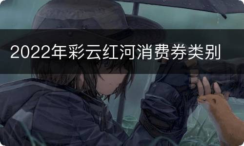 2022年彩云红河消费券类别