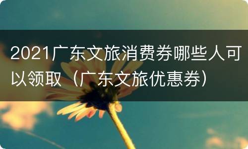 2021广东文旅消费券哪些人可以领取（广东文旅优惠券）
