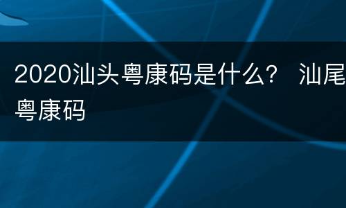 2020汕头粤康码是什么？ 汕尾粤康码