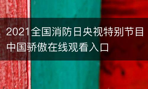 2021全国消防日央视特别节目中国骄傲在线观看入口