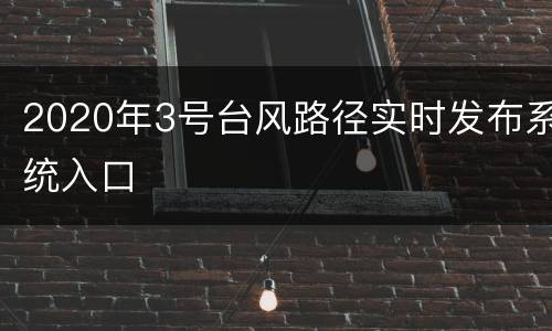 2020年3号台风路径实时发布系统入口