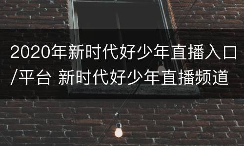 2020年新时代好少年直播入口/平台 新时代好少年直播频道