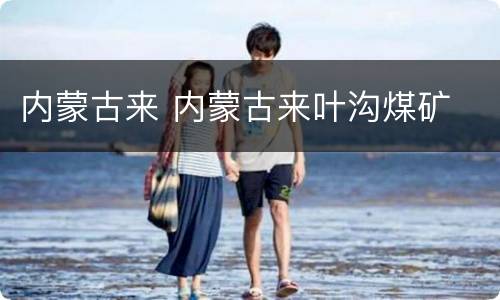 内蒙古来 内蒙古来叶沟煤矿