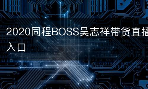 2020同程BOSS吴志祥带货直播入口
