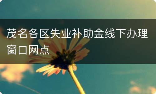 茂名各区失业补助金线下办理窗口网点