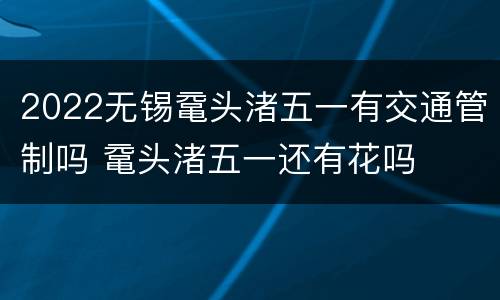 2022无锡鼋头渚五一有交通管制吗 鼋头渚五一还有花吗