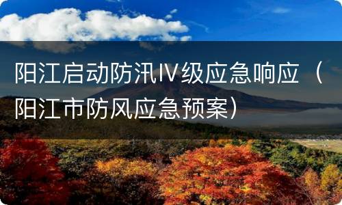 阳江启动防汛Ⅳ级应急响应（阳江市防风应急预案）
