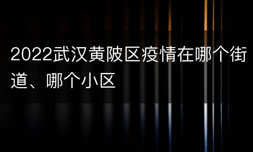 2022武汉黄陂区疫情在哪个街道、哪个小区