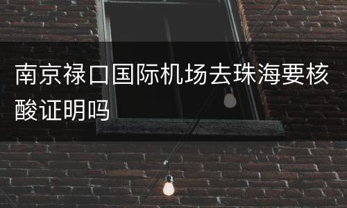 南京禄口国际机场去珠海要核酸证明吗