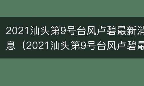 2021汕头第9号台风卢碧最新消息（2021汕头第9号台风卢碧最新消息新闻）