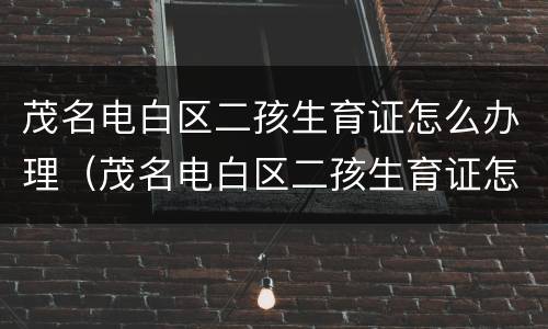 茂名电白区二孩生育证怎么办理（茂名电白区二孩生育证怎么办理流程）