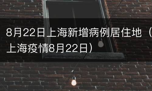 8月22日上海新增病例居住地（上海疫情8月22日）
