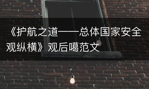 《护航之道——总体国家安全观纵横》观后噶范文