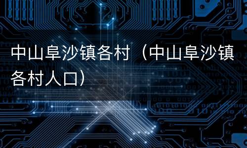 中山阜沙镇各村（中山阜沙镇各村人口）