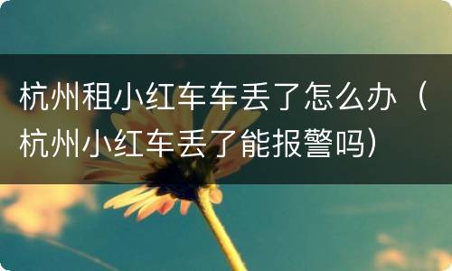 杭州租小红车车丢了怎么办（杭州小红车丢了能报警吗）