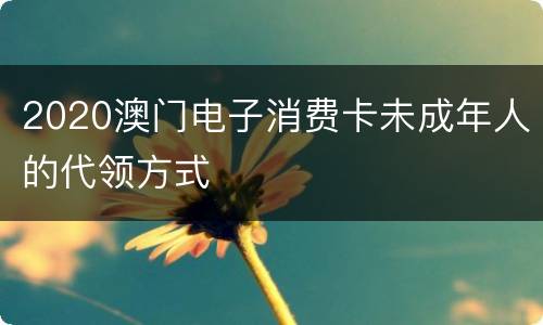 2020澳门电子消费卡未成年人的代领方式