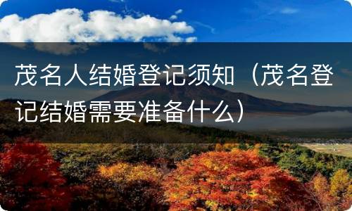 茂名人结婚登记须知（茂名登记结婚需要准备什么）