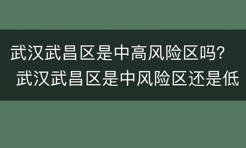 武汉武昌区是中高风险区吗？ 武汉武昌区是中风险区还是低风险区