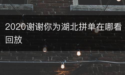 2020谢谢你为湖北拼单在哪看回放