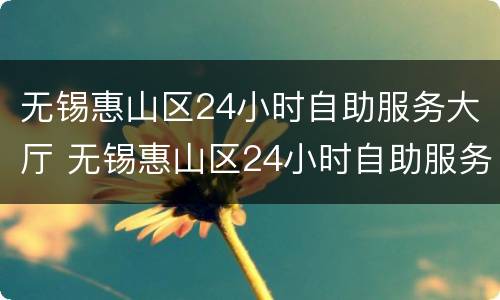 无锡惠山区24小时自助服务大厅 无锡惠山区24小时自助服务大厅换驾驶证用哪个机器