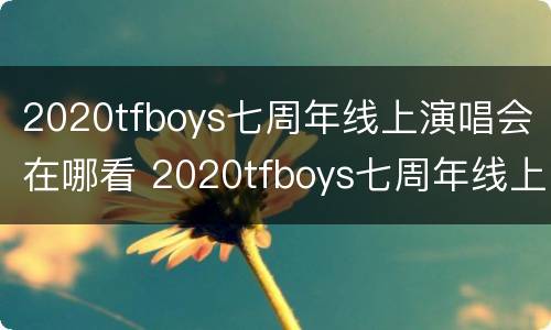 2020tfboys七周年线上演唱会在哪看 2020tfboys七周年线上演唱会回放