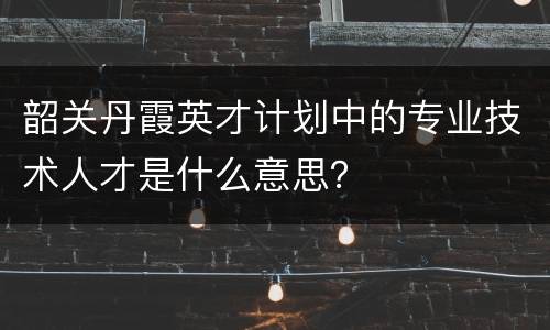 韶关丹霞英才计划中的专业技术人才是什么意思？