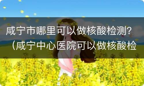 咸宁市哪里可以做核酸检测？（咸宁中心医院可以做核酸检测吗）