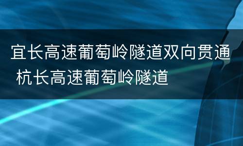 宜长高速葡萄岭隧道双向贯通 杭长高速葡萄岭隧道