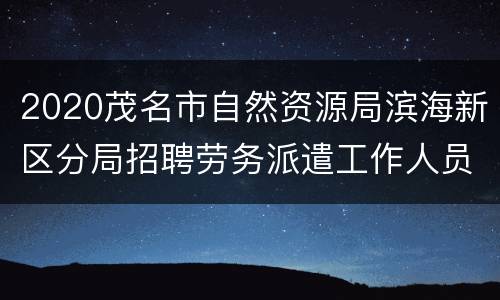2020茂名市自然资源局滨海新区分局招聘劳务派遣工作人员（岗位+报名条件）