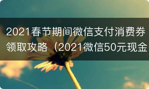 2021春节期间微信支付消费券领取攻略（2021微信50元现金优惠券怎么领）