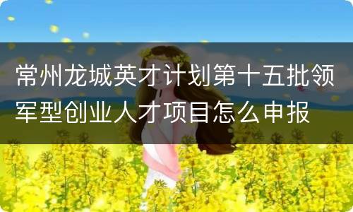 常州龙城英才计划第十五批领军型创业人才项目怎么申报