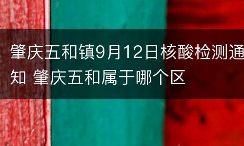 肇庆五和镇9月12日核酸检测通知 肇庆五和属于哪个区