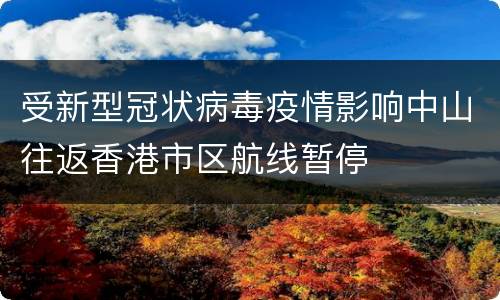 受新型冠状病毒疫情影响中山往返香港市区航线暂停
