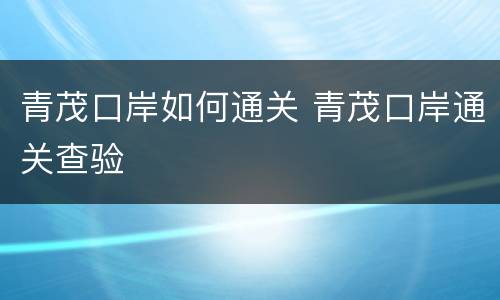 青茂口岸如何通关 青茂口岸通关查验