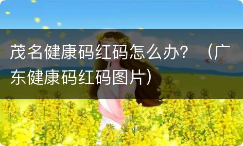 茂名健康码红码怎么办？（广东健康码红码图片）