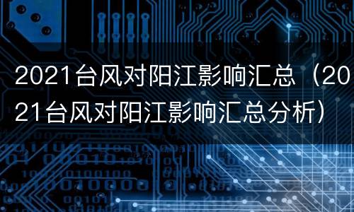 2021台风对阳江影响汇总（2021台风对阳江影响汇总分析）