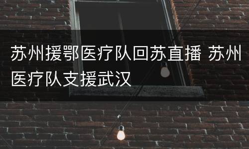 苏州援鄂医疗队回苏直播 苏州医疗队支援武汉