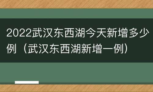 2022武汉东西湖今天新增多少例（武汉东西湖新增一例）