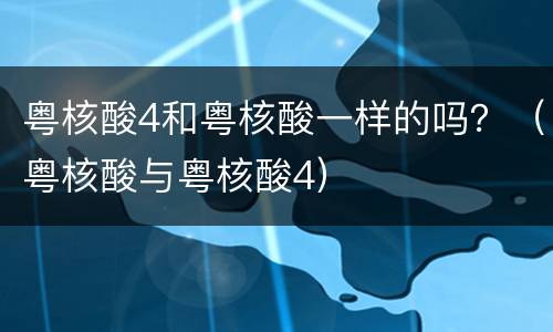 粤核酸4和粤核酸一样的吗？（粤核酸与粤核酸4）