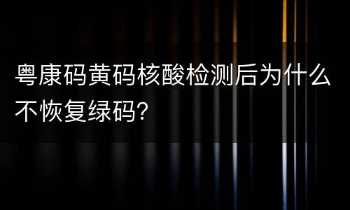 粤康码黄码核酸检测后为什么不恢复绿码？