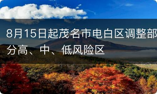 8月15日起茂名市电白区调整部分高、中、低风险区