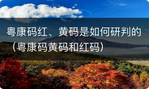 粤康码红、黄码是如何研判的（粤康码黄码和红码）